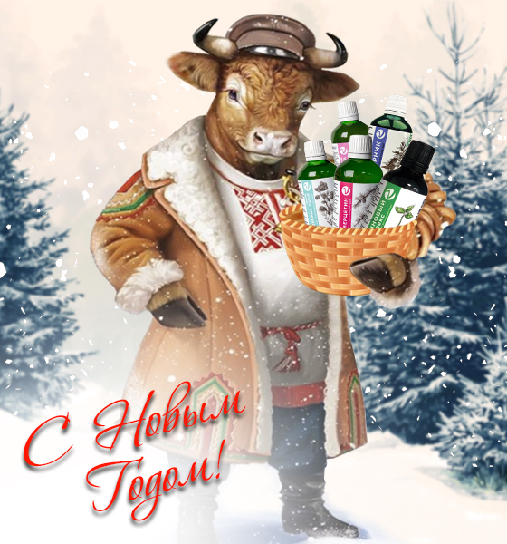 С Новым 2021 годом и Рождеством!