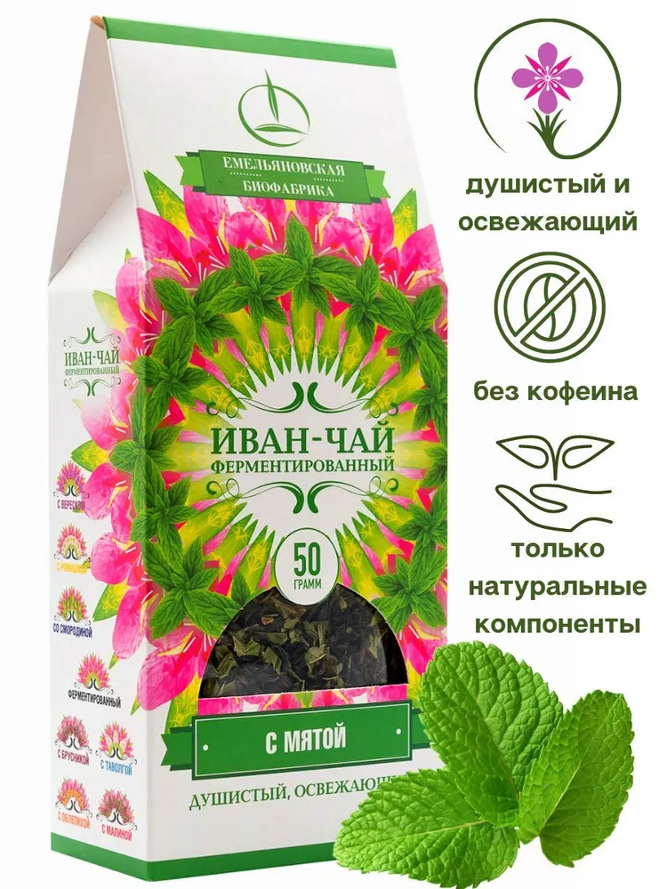 Внешний вид ЕБ Иван-чай ферментированный с мятой, пачка №13 24*50 гр от ВимаВиты