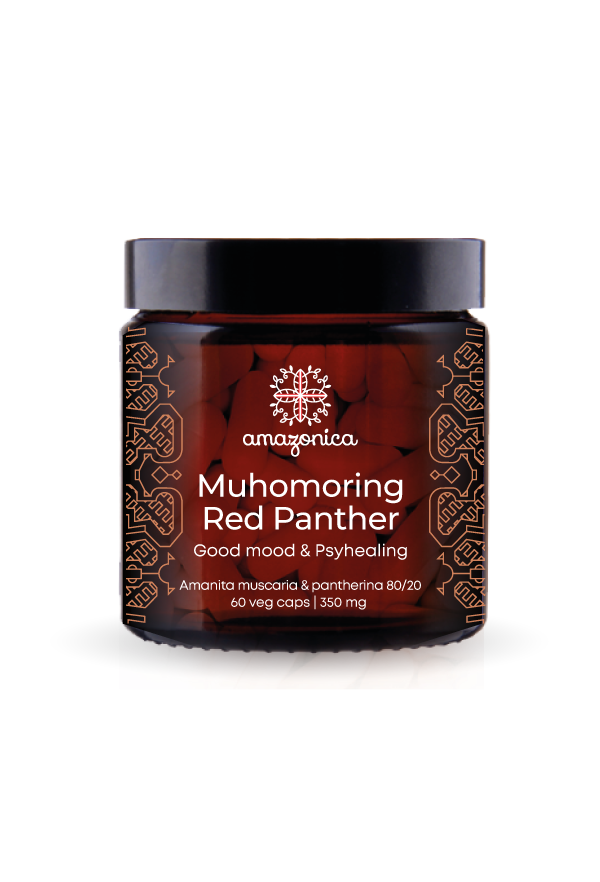 Внешний вид Muhomoring Red Panther Микродозинг красного и пантерного мухомора 80/20 в капсулах по 350mg от ВимаВиты
